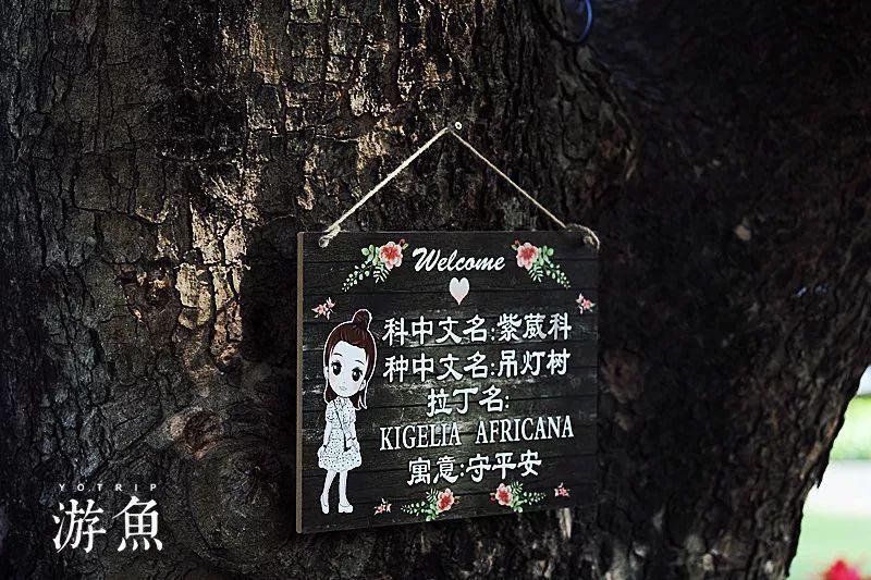 野生动物园大逃脱